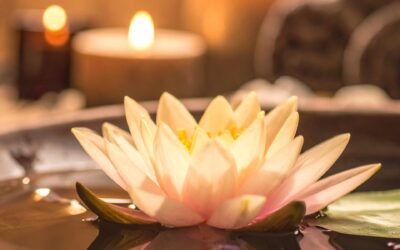 Välkommen till Hälsorum Vadstena – din plats för återhämtning och mening