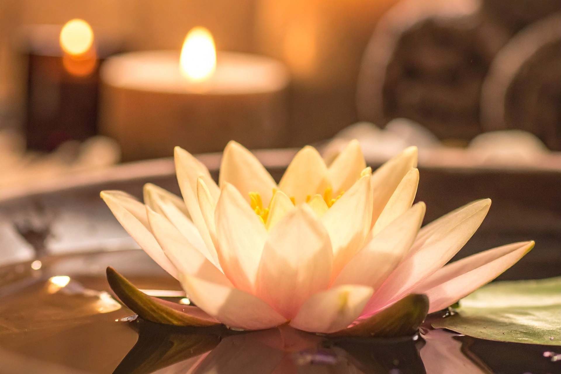 Massage, SPA, Terapi, Healing, Återhämtning